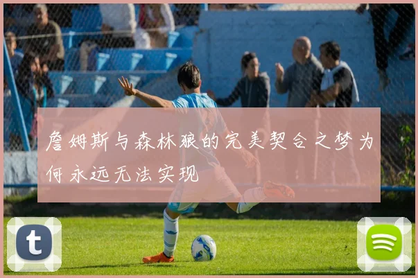詹姆斯与森林狼的完美契合之梦为何永远无法实现