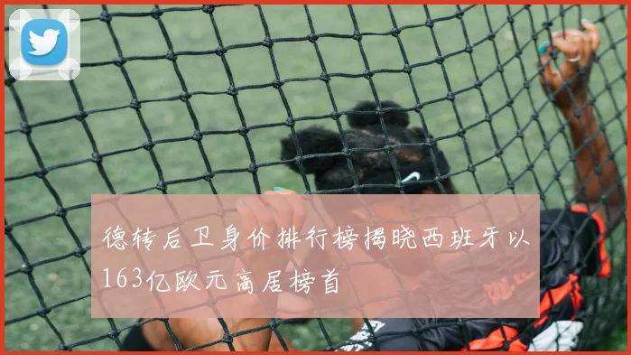 德转后卫身价排行榜揭晓西班牙以163亿欧元高居榜首