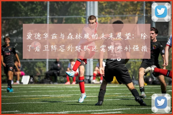 爱德华兹与森林狼的未来展望：除了后卫阵容外球队还需哪些补强措施